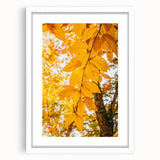 Abstract art print featuring autumnal shades on a white framed canvas, suitable for dining room or bedroom decor.