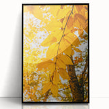 Large abstract wall art depicting autumnal trees in orange and brown, framed in black acrylic.