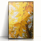 Mid-century modernist style large art print of an abstract fall scene in gold and brown tones on framed acrylic.