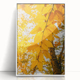 Art deco poster featuring a stylized autumn tree in orange and brown tones on a white acrylic framed print.