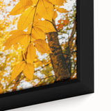 Framed canvas featuring textured black wall art with colorful, abstract fall motifs, ideal for living room decor.