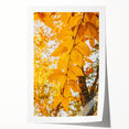 Extra large rolled print featuring a fall-themed floral design in warm orange and brown tones.