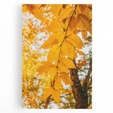 Large black and white stretched canvas featuring a minimalist fall tree design, suitable for kitchen wall art.