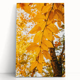 Large black and white canvas of a tree in fall, ideal for kitchen wall art or bedroom ambiance.
