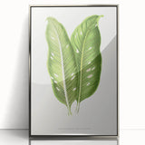 Classic Romantic Art: Green Dieffenbachia Leaf Illustration Print