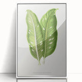 Classic Romantic Art: Green Dieffenbachia Leaf Illustration Print