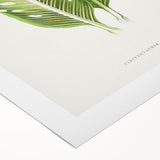 Classic Romantic Art: Green Dieffenbachia Leaf Illustration Print