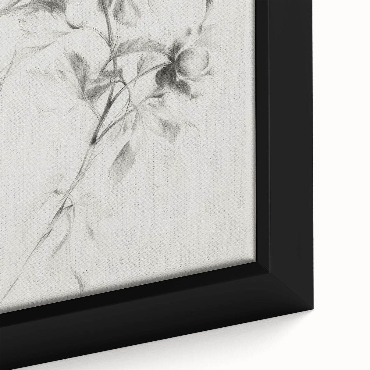Elegant Floral Sketch Living Room Wall Art – Canvas Print