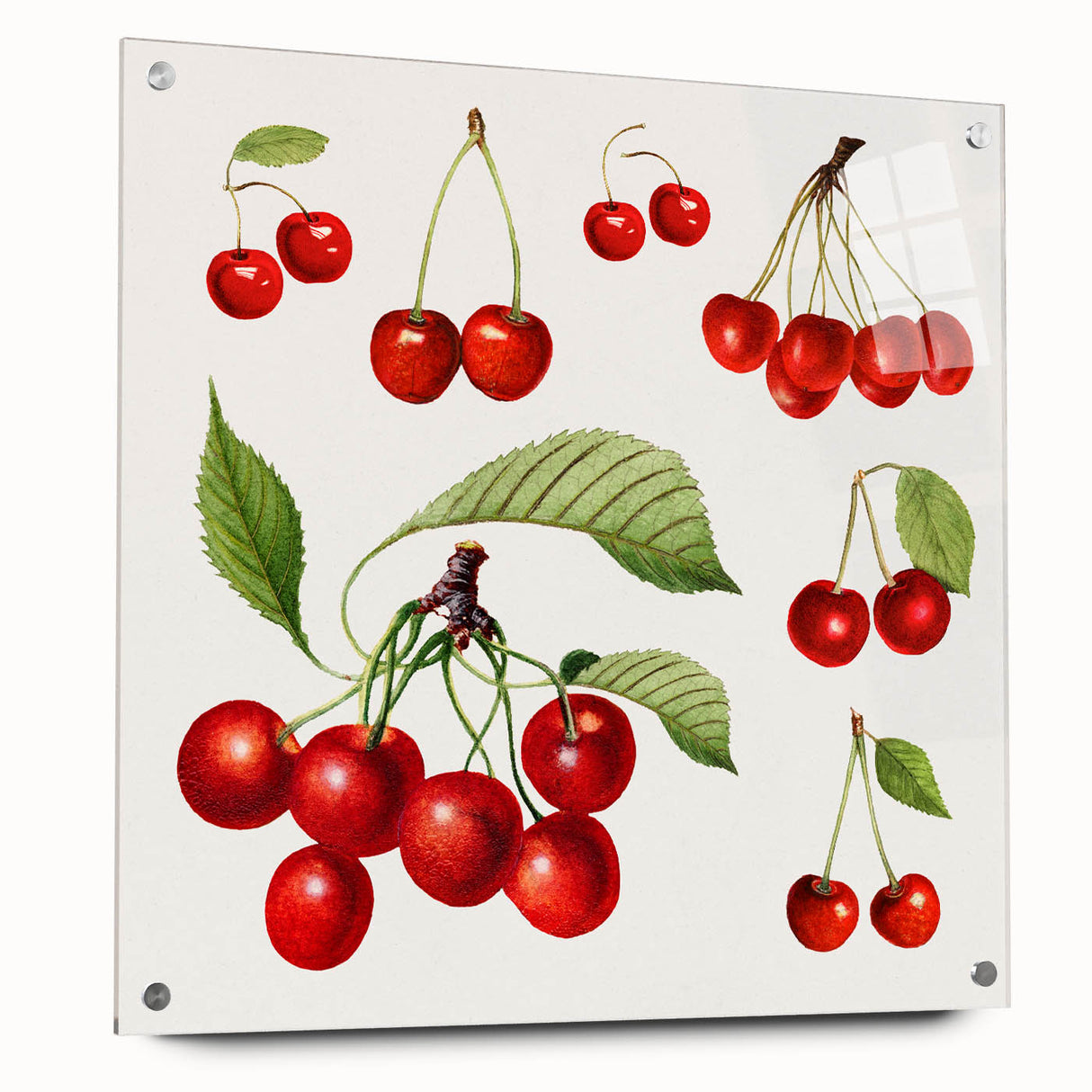 Acrylic print of large abstract wall art featuring assorted fruits in vibrant colors, ideal for dining room decor.