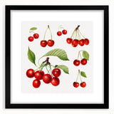 Extra large abstract art print featuring vibrant, textured fruit designs in a black frame, ideal for living room decor.