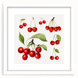 Abstract art print of assorted fruits in vibrant colors on a white framed mat, suitable for dining room decor.