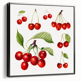 Black and white vintage poster art of various fruits on framed canvas, ideal for bedroom wall decor.