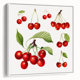 Vintage poster art of colorful fruits on a black background, framed canvas, ideal for living room decor.