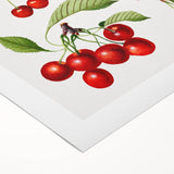 Art Deco poster featuring assorted fruits in vibrant colors on rolled canvas, suitable for dining room wall art.