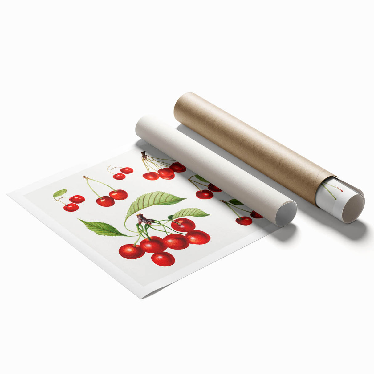Extra large rolled print featuring an array of colorful fruits on a white background, ideal for classy bathroom wall art.