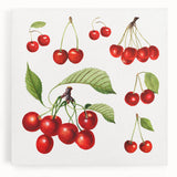 Black and white large canvas of assorted fruits, ideal for kitchen wall art.