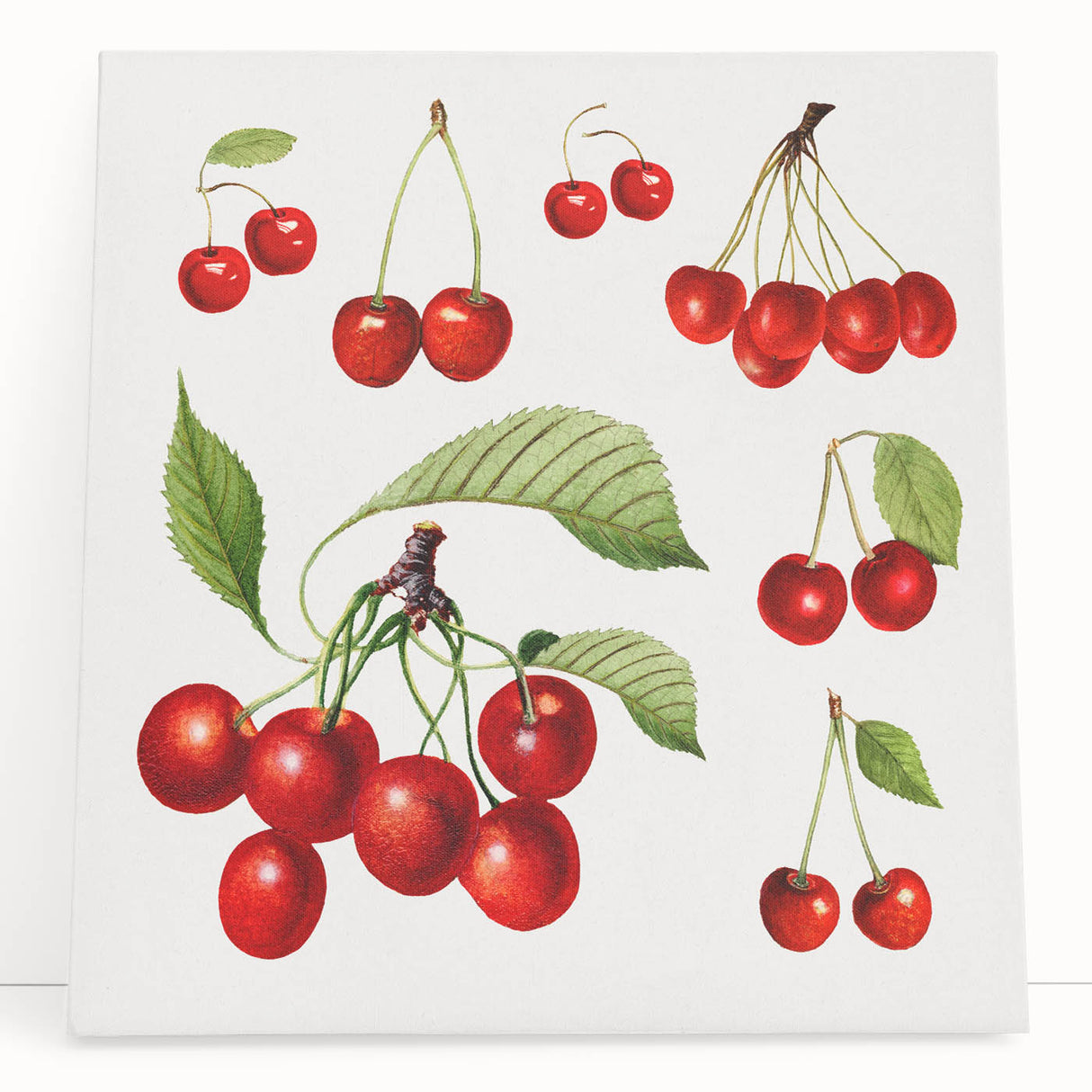 Large black and white wall art on stretched canvas featuring assorted fruits, ideal for kitchen wall art.