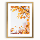 Extra large abstract art print featuring textured autumnal hues on a framed canvas, ideal for living room decor.