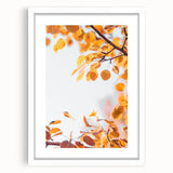 Abstract art print featuring swirls of orange and brown, framed in white, suitable for bedroom or dining room decor.