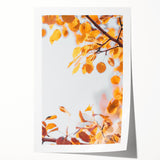 Rolled canvas print depicting fall foliage in muted orange and brown tones, suitable as art wall dining room decor.