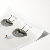 Extra large wall art featuring line art flowers in black on white canvas, ideal for large living room decor.