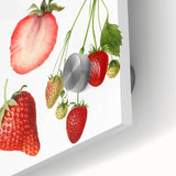 Large abstract wall art featuring assorted fruits in vibrant colors on acrylic glass, ideal for dining room art.