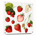 Large abstract wall art featuring assorted fruits in vibrant colors on acrylic glass, ideal for dining room decor.
