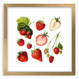 Extra large abstract art print featuring a textured depiction of fruits in vibrant colors, framed in gold.