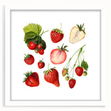 Abstract art print featuring assorted fruits in vibrant colors on a white matted frame, ideal for dining room decor.