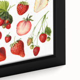 Extra large black wall art featuring a close-up of colorful, textured fruits on framed canvas, ideal for living room decor.