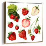 Framed canvas featuring a vintage poster art of various fruits in muted silver and gold tones.