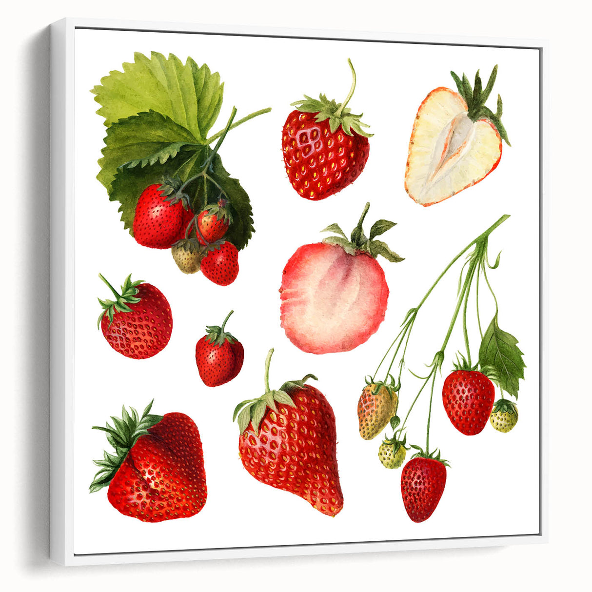 Vintage poster art of colorful fruits on a black background, framed canvas, ideal for living room decor.
