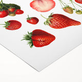 Art deco poster featuring an array of colorful fruits on a rolled canvas, suitable for dining room wall art.