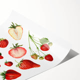 Extra large rolled print featuring line art of flowers in monochrome, ideal for large living room wall art.