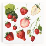 Black and white photo of assorted fruits on stretched canvas, ideal for kitchen art.