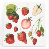 Black and white photo of assorted fruits on stretched canvas, suitable as kitchen wall art.