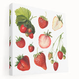 Large canvas featuring an assortment of fruits in vibrant, realistic colors, ideal for kitchen wall art.