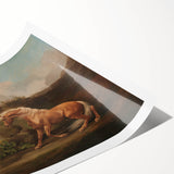 Realistic Horse and Lion Painting - George Stubbs Realism Art Canvas Print