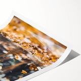 Extra large wall art featuring line art flowers in muted autumnal tones on a rolled canvas.