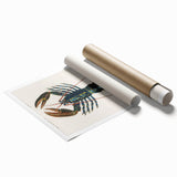 Romantic Era Art: Blue Lobster Illustration by Charles Dessalines d’Orbigny