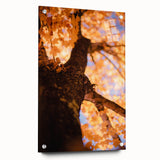 Large abstract wall art depicting autumn colors on acrylic glass, suitable for bedroom or dining room decor.