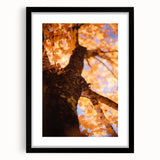 Extra large abstract art print featuring a textured, colorful autumnal scene on a black framed canvas.