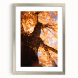 Textured abstract art print depicting fall foliage in orange and brown tones on a silver framed canvas.