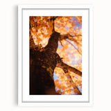 Abstract art print featuring swirling autumnal hues on a white framed canvas, suitable for bedroom or dining room decor.