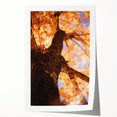 Extra large rolled print featuring a fall-themed floral design in warm autumn colors.