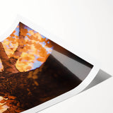 Extra large wall art featuring line art flowers in muted autumnal tones on a rolled canvas.