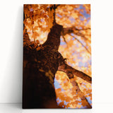 Large black and white abstract canvas depicting autumn trees, ideal for kitchen wall art or bedroom ambiance.