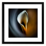 Abstract floral wall art framed with a black mat, showcasing vibrant colors and intricate patterns, ideal for modern home decor or office spaces.