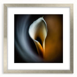 Abstract floral wall art framed with a silver mat, showcasing vibrant colors and intricate designs, perfect for enhancing modern home decor and aesthetics.