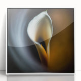 Framed abstract floral wall art featuring vibrant colors and intricate designs, set in a sleek white frame, ideal for modern home decor and artistic enhancement.